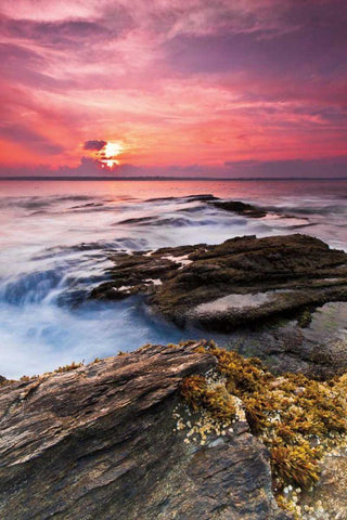 Swirling Black Ornate Wood Framed Art Print with Double Matting by Gendreau, Katherine