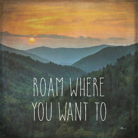 Wander I Black Modern Wood Framed Art Print by Pela Studio