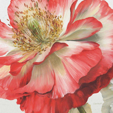 Romantic Afternoon Light Crop I White Modern Wood Framed Art Print with Double Matting by Audit, Lisa