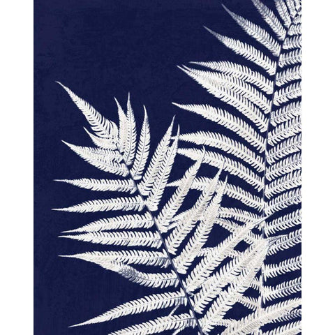 Aspire Blueprint Gold Ornate Wood Framed Art Print with Double Matting by Van Swearingen, Debra