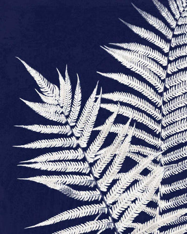 Aspire Blueprint White Modern Wood Framed Art Print with Double Matting by Van Swearingen, Debra