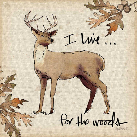 Lodge Life II White Modern Wood Framed Art Print by Tavoletti, Anne