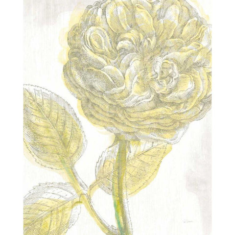 Belle Fleur Yellow III Crop Gold Ornate Wood Framed Art Print with Double Matting by Schlabach, Sue