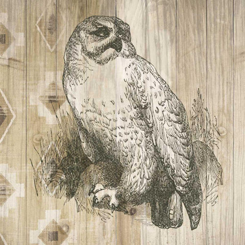 Natural History Lodge II White Modern Wood Framed Art Print by Wild Apple Portfolio