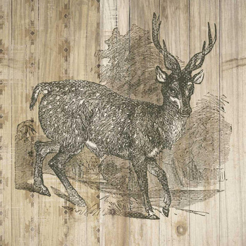 Natural History Lodge III Black Modern Wood Framed Art Print by DeNeige, Elyse