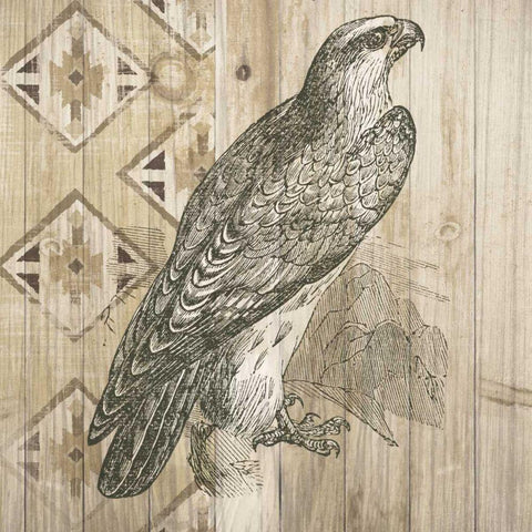 Natural History Lodge V Black Ornate Wood Framed Art Print with Double Matting by DeNeige, Elyse