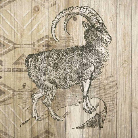 Natural History Lodge VII Black Modern Wood Framed Art Print with Double Matting by Wild Apple Portfolio