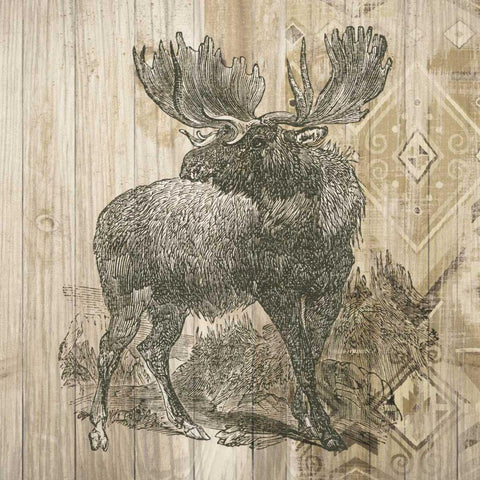 Natural History Lodge VIII Black Modern Wood Framed Art Print by DeNeige, Elyse