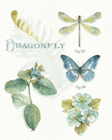 My Greenhouse Botanical II White Modern Wood Framed Art Print with Double Matting by Audit, Lisa