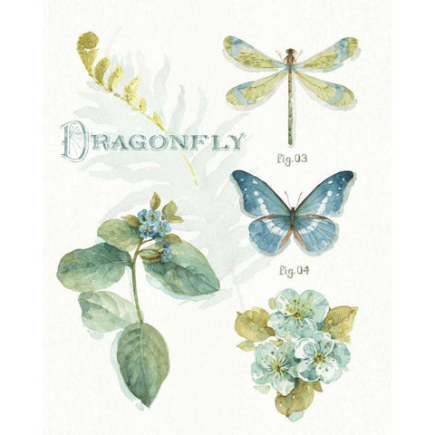 My Greenhouse Botanical II Black Modern Wood Framed Art Print by Audit, Lisa