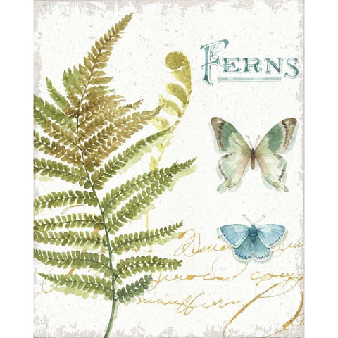 My Greenhouse Botanical III White Modern Wood Framed Art Print by Audit, Lisa