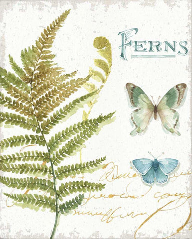 My Greenhouse Botanical III Black Ornate Wood Framed Art Print with Double Matting by Audit, Lisa