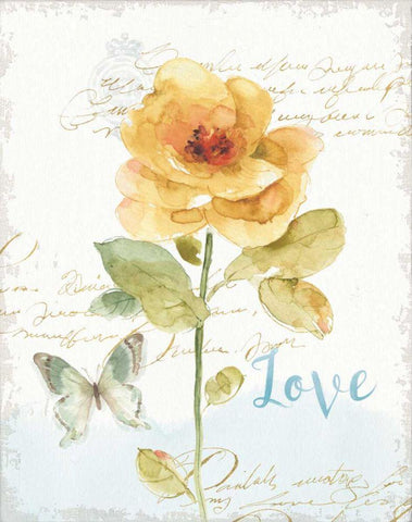 Rainbow Seeds Floral VIII Love White Modern Wood Framed Art Print with Double Matting by Audit, Lisa