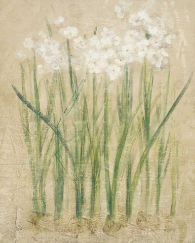 Narcissus Cool White Modern Wood Framed Art Print with Double Matting by Blum, Cheri