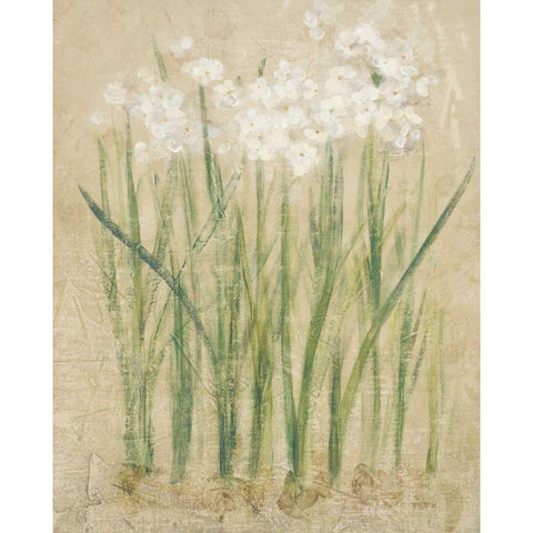 Narcissus Cool White Modern Wood Framed Art Print by Blum, Cheri