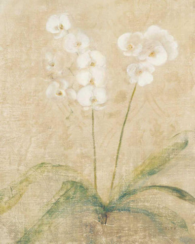 Orchid Cool Black Ornate Wood Framed Art Print with Double Matting by Blum, Cheri