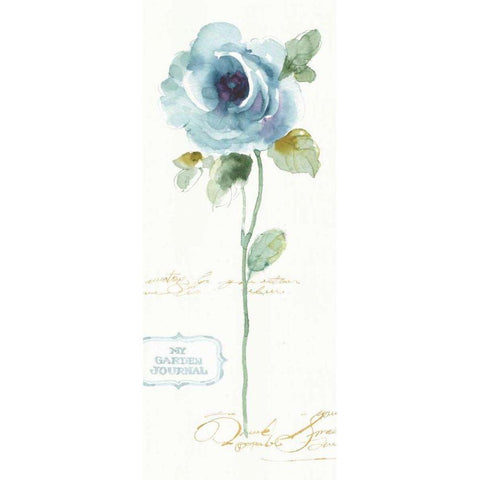 Rainbow Seeds Loose Floral I Black Modern Wood Framed Art Print with Double Matting by Audit, Lisa