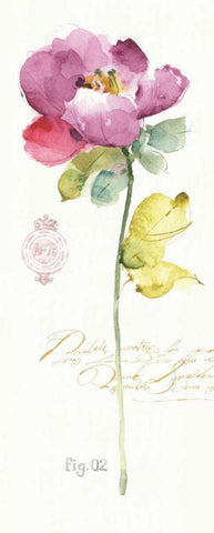 Rainbow Seeds Loose Floral II White Modern Wood Framed Art Print with Double Matting by Audit, Lisa