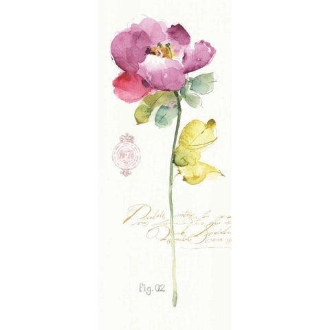 Rainbow Seeds Loose Floral II Black Modern Wood Framed Art Print by Audit, Lisa