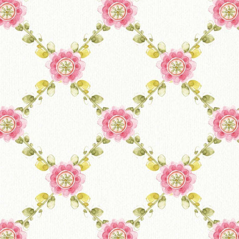 Rainbow Seeds Pattern VIII Black Modern Wood Framed Art Print with Double Matting by Audit, Lisa