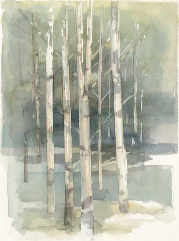 Birch Grove I White Modern Wood Framed Art Print with Double Matting by Tillmon, Avery