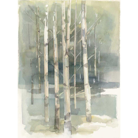 Birch Grove I Black Modern Wood Framed Art Print with Double Matting by Tillmon, Avery