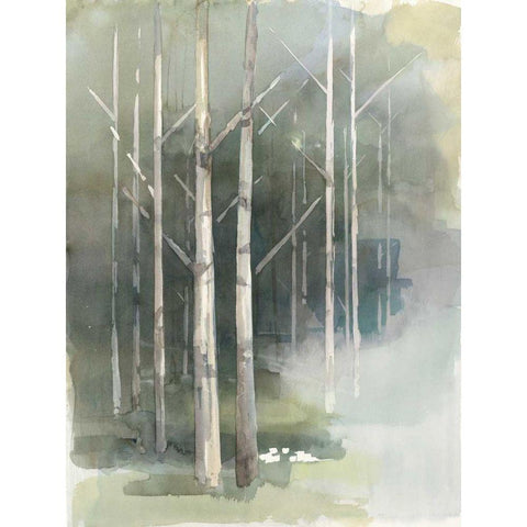 Birch Grove II Black Modern Wood Framed Art Print with Double Matting by Tillmon, Avery