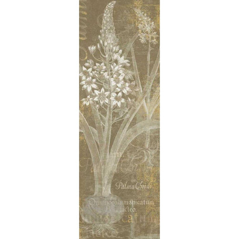 Flower Lines II Gold Ornate Wood Framed Art Print with Double Matting by Schlabach, Sue