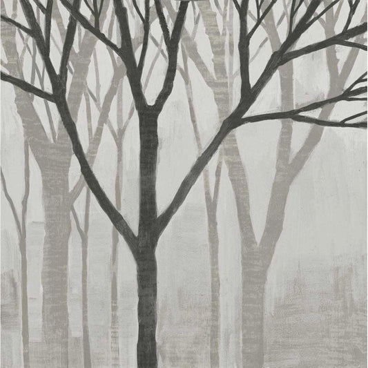 Image Only