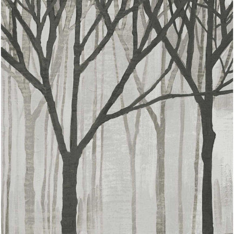 Spring Trees Greystone III Black Modern Wood Framed Art Print with Double Matting by Lovell, Kathrine