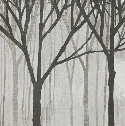 Spring Trees Greystone III White Modern Wood Framed Art Print with Double Matting by Lovell, Kathrine