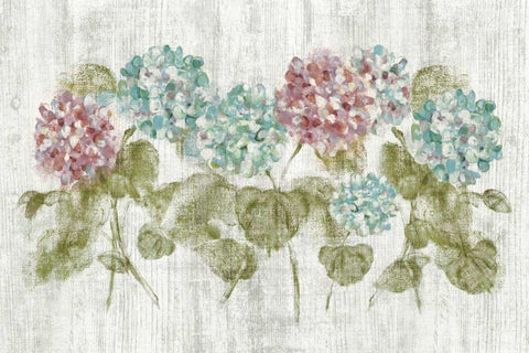 Vibrant Row of Hydrangea on Wood White Modern Wood Framed Art Print with Double Matting by Blum, Cheri