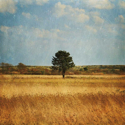 The Lonely Tree Black Modern Wood Framed Art Print by Gendreau, Katherine