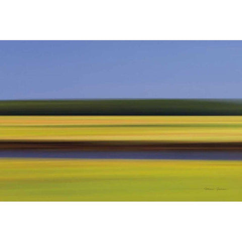 Midday Marsh Black Modern Wood Framed Art Print with Double Matting by Gendreau, Katherine