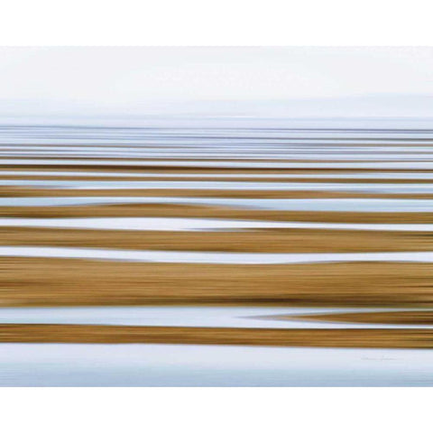 Sand Flats in Fog Black Modern Wood Framed Art Print with Double Matting by Gendreau, Katherine