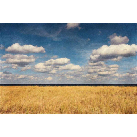 Bend in the Road Beach Black Modern Wood Framed Art Print by Gendreau, Katherine