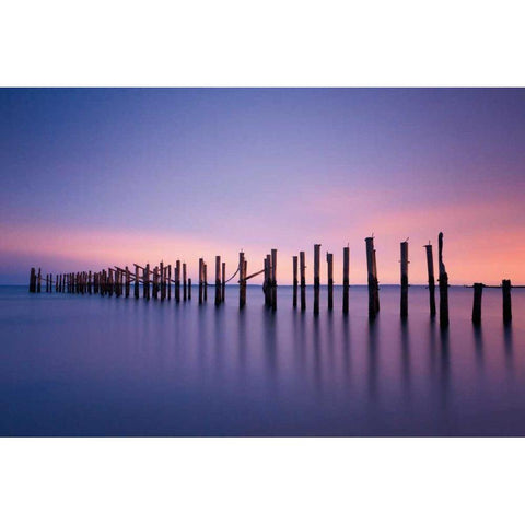 Still Color Black Modern Wood Framed Art Print with Double Matting by Gendreau, Katherine