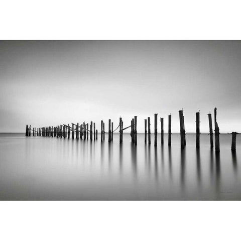 Still BW Black Modern Wood Framed Art Print by Gendreau, Katherine