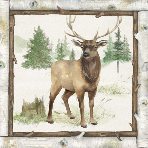 Family Cabin I Black Ornate Wood Framed Art Print with Double Matting by Grove, Beth