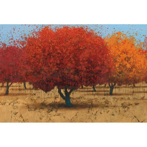 Orange Trees II White Modern Wood Framed Art Print by Wiens, James