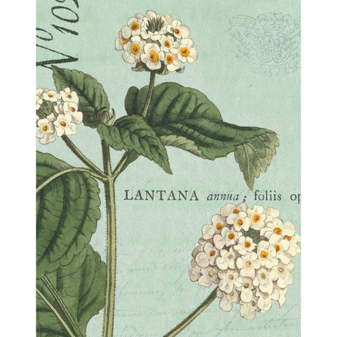 Botanique Bleu I White Modern Wood Framed Art Print by Wild Apple Portfolio