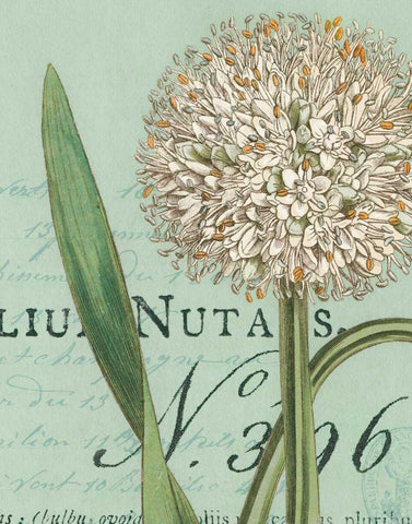 Botanique Bleu II White Modern Wood Framed Art Print with Double Matting by Wild Apple Portfolio