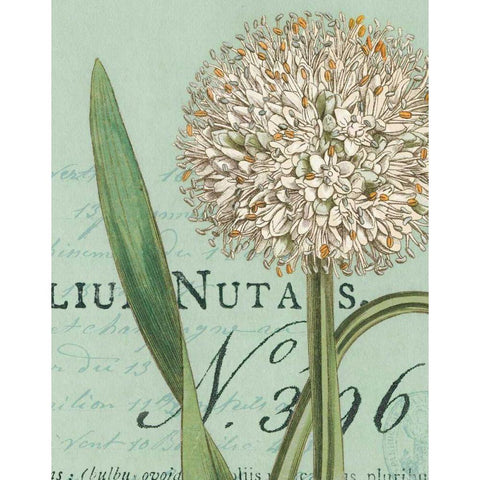 Botanique Bleu II Gold Ornate Wood Framed Art Print with Double Matting by Wild Apple Portfolio