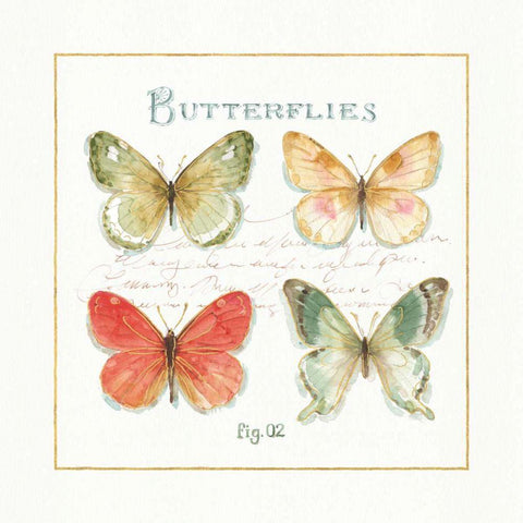 Rainbow Seeds Butterflies III White Modern Wood Framed Art Print by Audit, Lisa