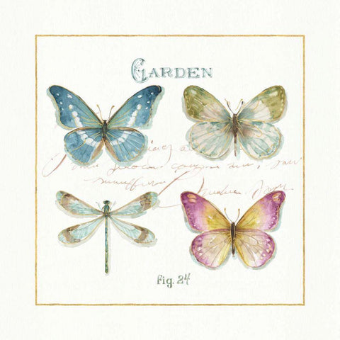 Rainbow Seeds Butterflies IV Black Ornate Wood Framed Art Print with Double Matting by Audit, Lisa