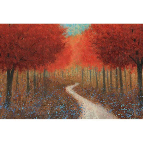 Forest Pathway Black Modern Wood Framed Art Print by Wiens, James