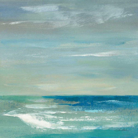 Early Morning Waves I Black Ornate Wood Framed Art Print with Double Matting by Vassileva, Silvia