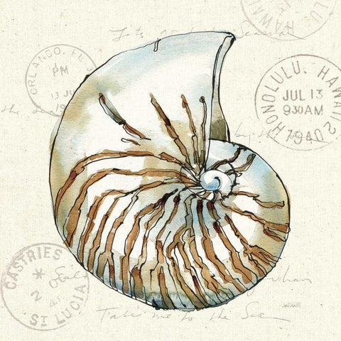 Coastal Breeze V Black Modern Wood Framed Art Print with Double Matting by Tavoletti, Anne