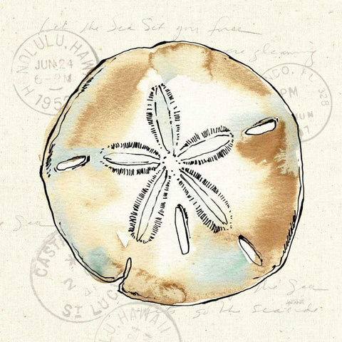 Coastal Breeze VI Black Modern Wood Framed Art Print with Double Matting by Tavoletti, Anne