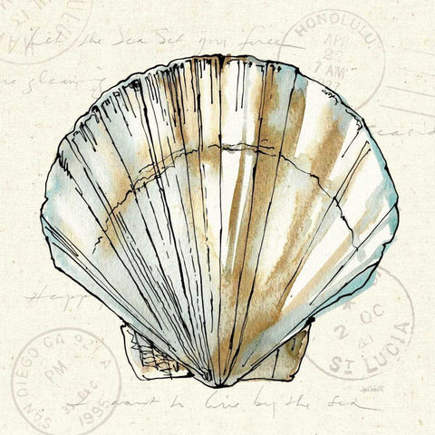 Coastal Breeze VII Black Modern Wood Framed Art Print by Tavoletti, Anne